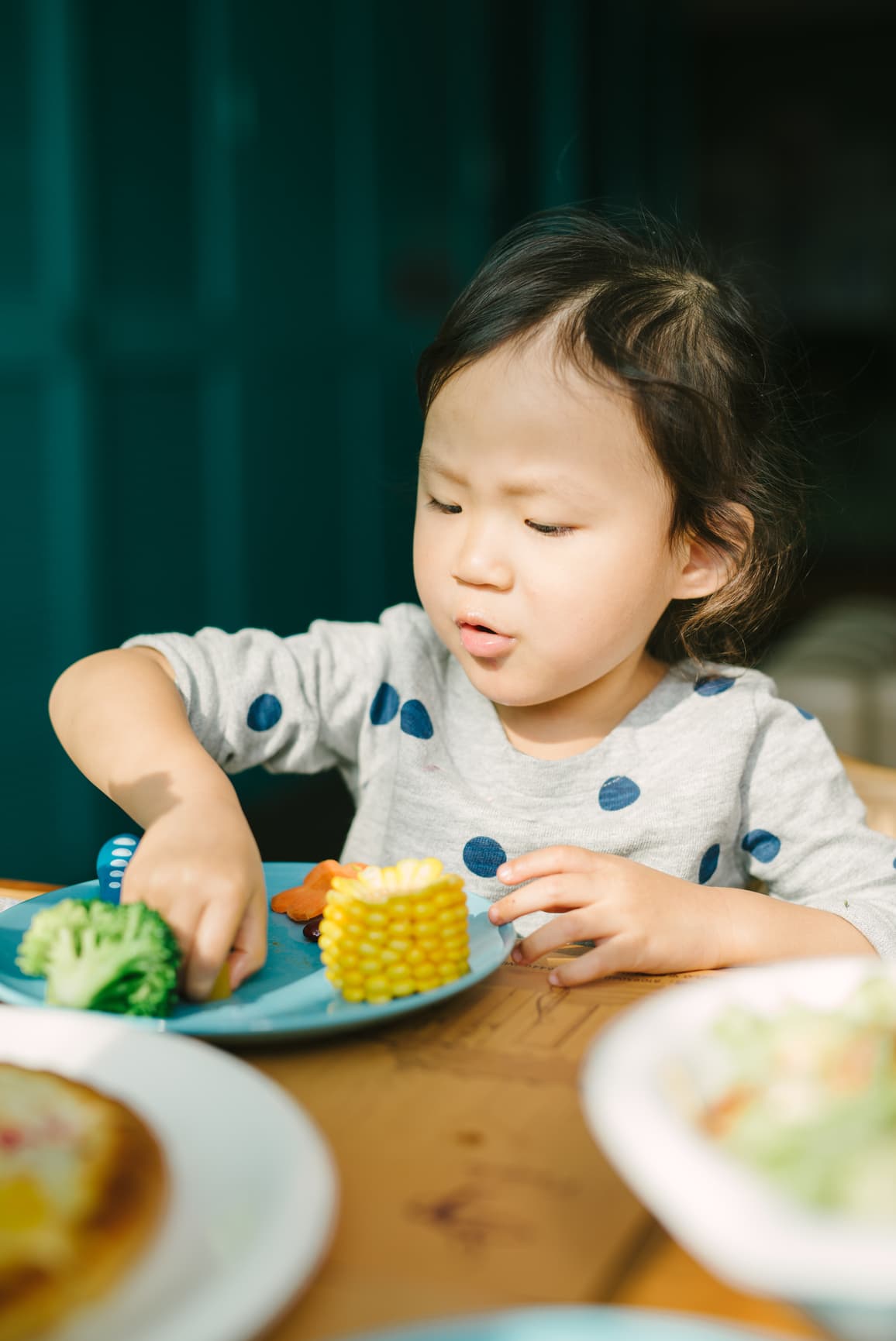 End Food Battles: A Guide to Managing Meals, Snacks, and Desserts with Your Kids
